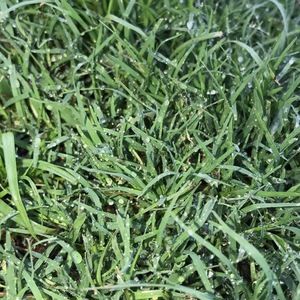 Meet your Posher, Jacque